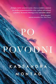 Kniha: Po povodni - 1. vydanie - Kassandra Montag