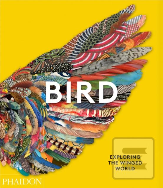 Kniha: Bird: Exploring the Winged World