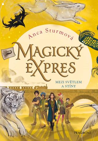 Kniha: Magický expres - Mezi světlem a stíny - 1. vydanie - Anca Sturmová