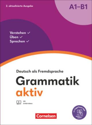 Kniha: Grammatik aktiv, A1/B1 - Friederike Jin; U. Voß