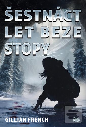 Kniha: Šestnáct let beze stopy - French Gillian