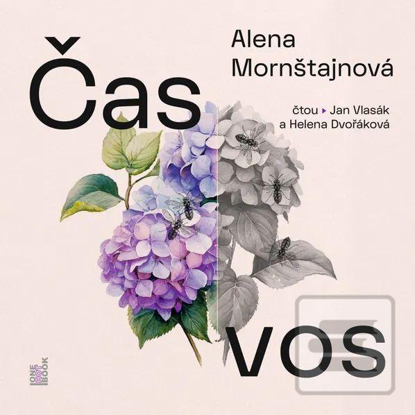 Alena Mornštajnová:  Čas… (Alena Mornštajnová)