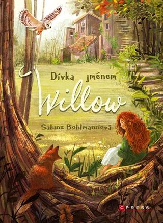 Kniha: Dívka jménem Willow - Sabine Bohlmannová