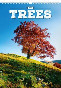 Kalendár nástenný: Stromy 2018 - nástěnný kalendář