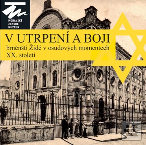 V utrpení a boji (kolektiv)