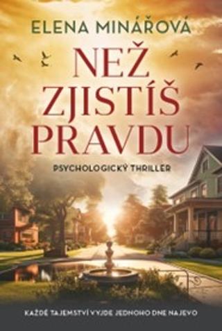 Kniha: Než zjistíš pravdu - 1. vydanie - Elena Minářová