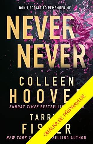 Kniha: Nikdy, nikdy - 1. vydanie - Colleen Hooverová, Tarryn Fisher