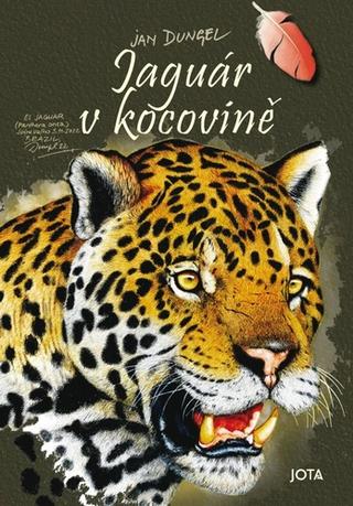 Kniha: Jaguár v kocovině - 1. vydanie - Jan Dungel