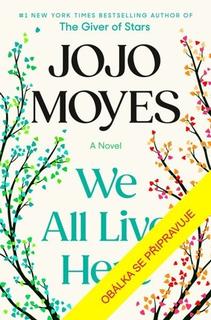 Kniha: Plný dům - Jojo Moyesová