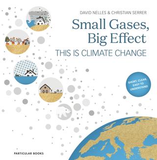 Kniha: Small Gases, Big Effect