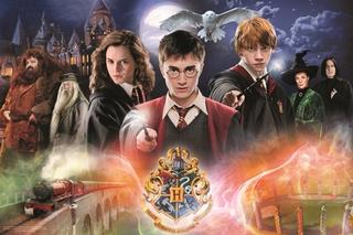 Puzzle: Tajemný Harry Potter 300 dílků