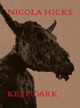 Kniha: Nicola Hicks: Keep Dark - Magazine Elephant
