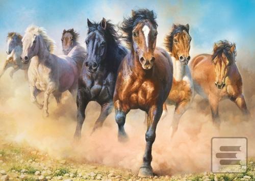 Puzzle Cválající koně 20…