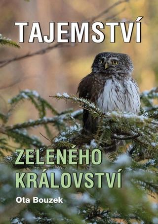 Kniha: Tajemství zeleného království - 1. vydanie - Ota Bouzek