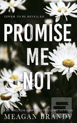 Promise Me Not (Meagan Brandy)