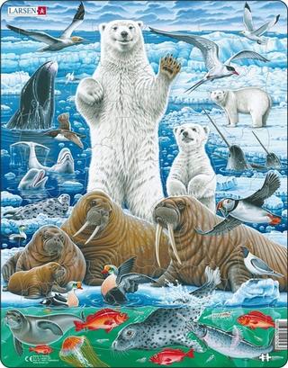 Puzzle: Puzzle Lední medvěd a mrož