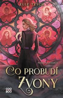 Kniha: Co probudí zvony - Ellen Teschendorf