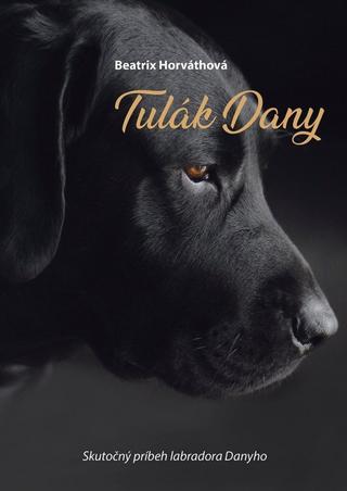 Kniha: Tulák Dany - 1. vydanie - Beatrix Horváthová