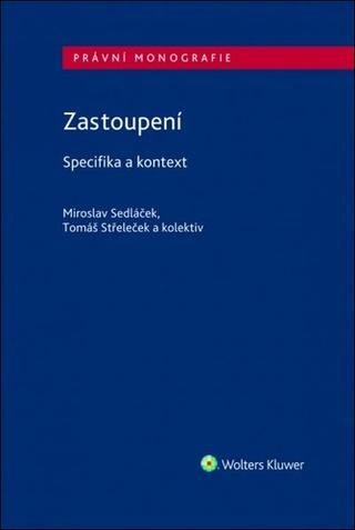 Kniha : Zastoupení Specifika a kontext