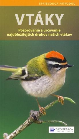 Kniha: Vtáky - Pozorovanie a určovanie najdôležitejších druhov ... - Pozorovanie a určovanie najdôležitejších druhov našich vtákov - Angelika Lang