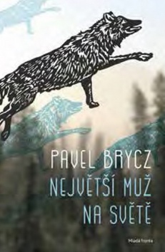 Kniha: Největší muž na světě - 1. vydanie - Pavel Brycz