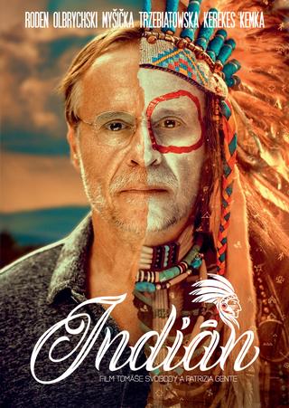Kniha: Indián - Tomáš Svoboda