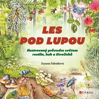 Kniha: Les pod lupou - Ilustrovaný průvodce světem rostlin, hub a živočichů - 1. vydanie - Zuzana Šabatková