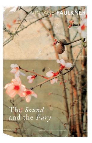 Kniha: The Sound And The Fury - William Faulkner