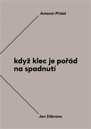 Kniha: Když klec je pořád na spadnutí - Vzájemná korespondence Antonína Přidala a Jana Zábrany z let 1963–1984 - Jan Zábrana