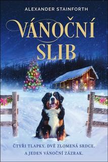 Kniha: Vánoční slib - Alexander Stainforth