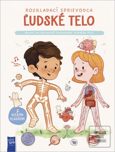 Ľudské telo
