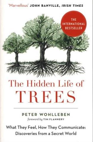Kniha: The Hidden Life Of Trees: What They Feel, How They Communicate - 1. vydanie - Peter Wohlleben