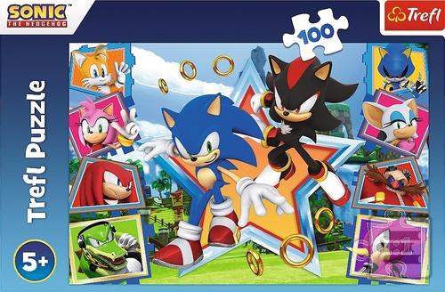 Puzzle Sonic Seznamte se…
