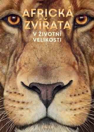 Kniha: Africká zvířata V životní velikosti - 1. vydanie - Holgen Haag