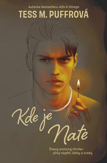 Kniha: Kde je Nate - 1. vydanie - Tess M. Puffrová