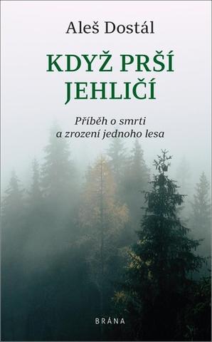 Kniha: Když prší jehličí - Příběh o smrti a zrození jednoho lesa - 1. vydanie - Aleš Dostál