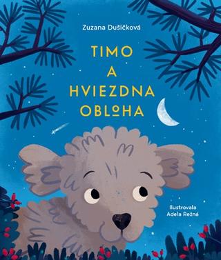 Kniha: Timo a hviezdna obloha - Zuzana Dušičková
