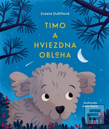 Kniha: Timo a hviezdna obloha - Zuzana Dušičková
