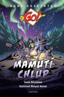 Kniha: Mamutí chlup - Ivona Březinová