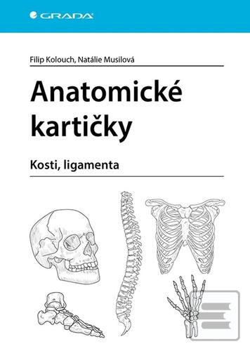 Kniha: Anatomické kartičky - kosti, ligamenta - Filip Kolouch; Natálie Musilová
