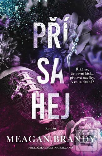 Přísahej (Meagan Brandy)