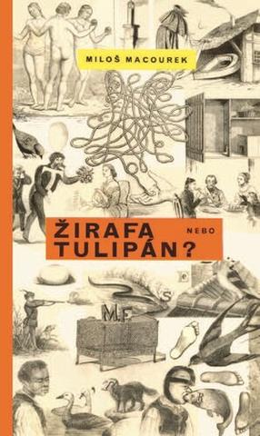 Kniha: Žirafa nebo tulipán - Miloš Macourek