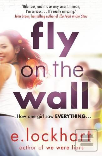 Fly on the Wall (E. Lockhart)