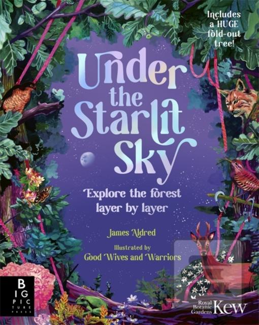 Under the Starlit Sky (James Aldred)