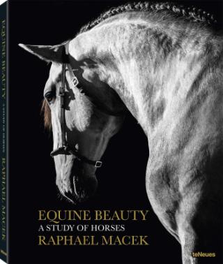 Photokniha: Equine Beauty - A Study of Horses Photobook - Raphael Macek