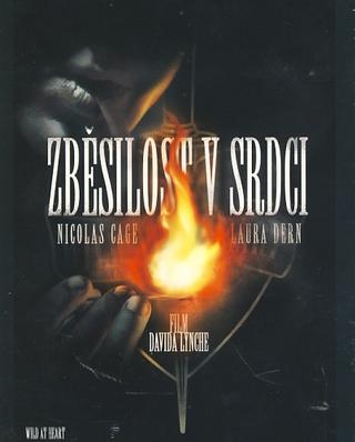 Kniha: Zběsilost v srdci - David Lynch