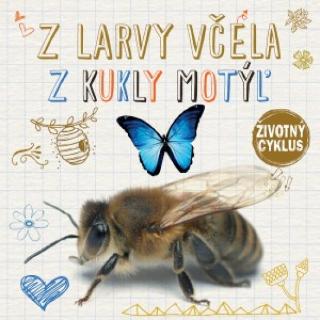 Kniha: Životný cyklus – Z larvy včela, z kukly motýľ - Životný cyklus - 1. vydanie - Grace Jones
