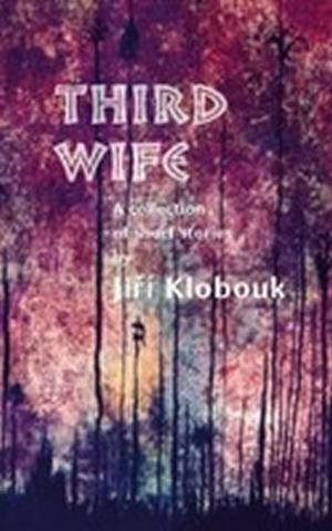 Kniha: Third Wife - 1. vydanie - Jiří Klobouk