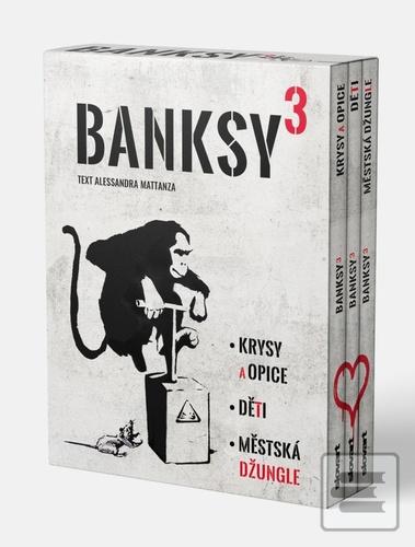 Banksy (Alessandra Mattanzaová)