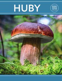 Kniha: Huby miniatlas